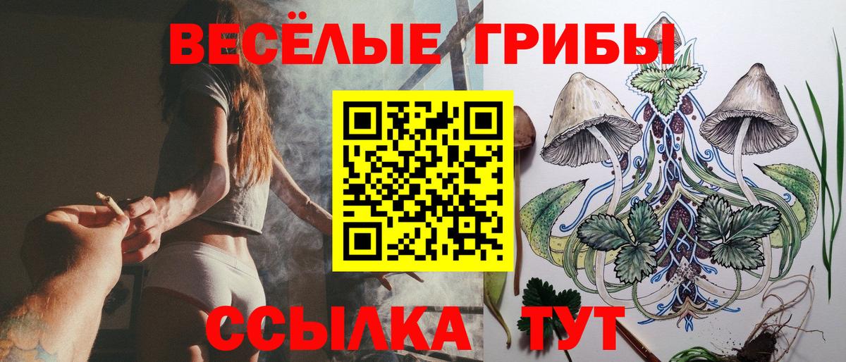 Галлюциногенные грибы Magic Shrooms Калуга