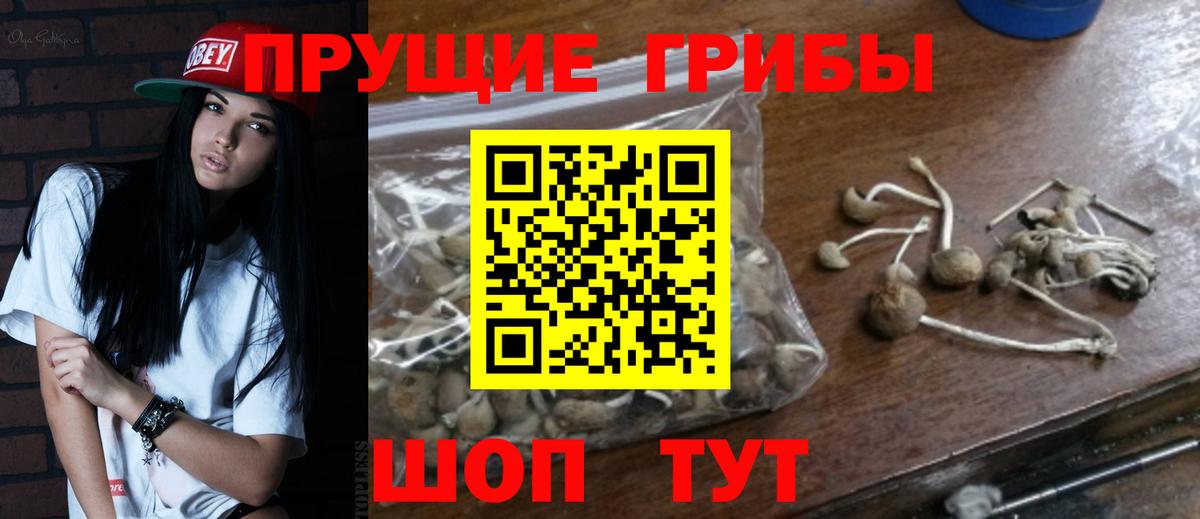 Галлюциногенные грибы ЛСД  Галлюциногенные грибы Cubensis  Калуга  Вход с VPN 